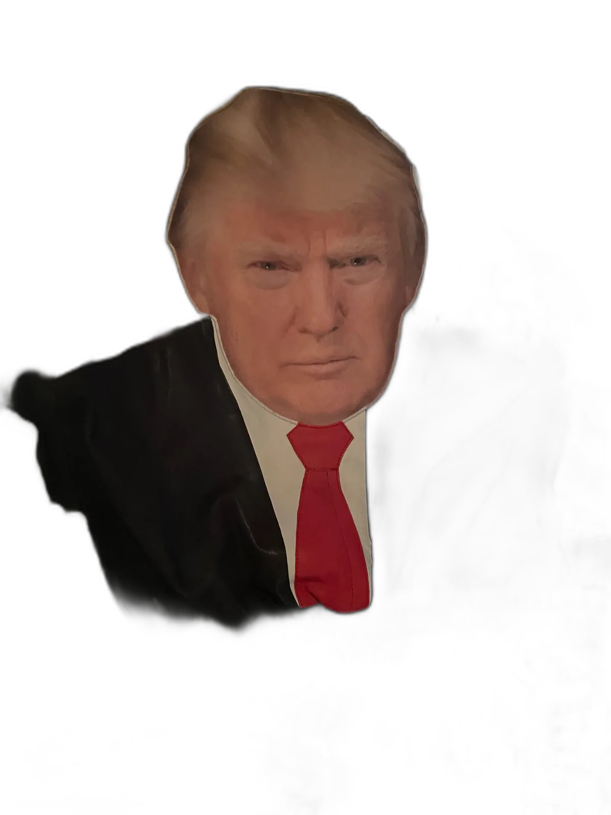 The Commander in Chief